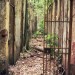une porte ouverte