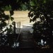 du carbet vers le ponton