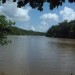 le fleuve Kourou