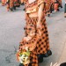 couleurs guyanaises