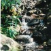 petite rivière le long d'un chemin
