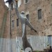 St Damien